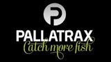 Pallatrax