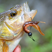 Fox Rage Mini Craw