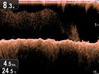 Raymarine Dragonfly 7 With Transducer & EU Silver Chart