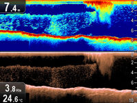 Raymarine Dragonfly 7 With Transducer & EU Silver Chart