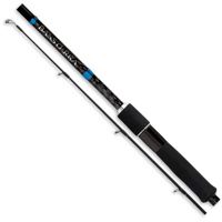 Shimano Bassterra Sea Bass Rod