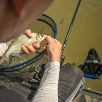 Preston Innovations Ascension Feeder Rods