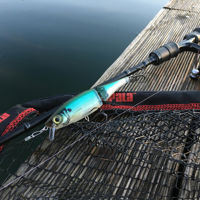 Rapala BX Swimmer 12cm/22g