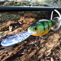 Rapala Jointed Shad Rap Lure 7cm/13g