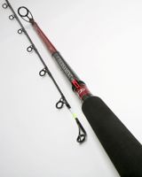 Daiwa Tournament Uptide Rods