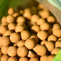 CC Moore Live System Frozen Boilies 15mm