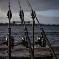 Wolf X3K Series Carp Rods