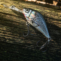 Salmo Hornet Crankbaits