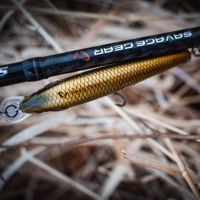 Savage Gear Gravity Twitch SR Lures