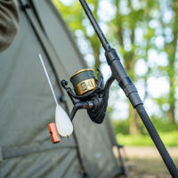 Daiwa 20 GS BR LT Reels