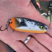 Rapala Nauvo Spoons 6.6cm 19g