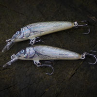 Salmo Minnow Crankbaits