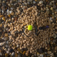 Sonubaits Fin Perfect Feed Pellets