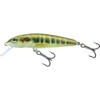 Salmo Minnow Crankbaits