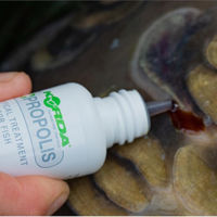 Korda Propolis Carp Care Treatment