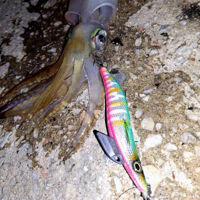 Savage Gear Squid Dealer Lures 3.0in/14.3g