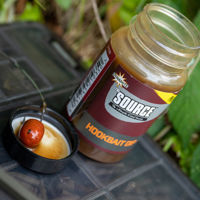 Dynamite Baits The Source Concentrate Dip 100ml