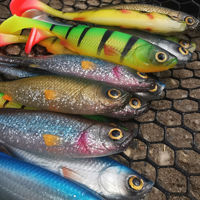 Savage Gear Craft Shad Mix Pack