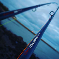 AnyFish Anywhere Grand Prix Pro Rod