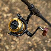 Daiwa 20 GS BR LT Reels