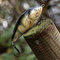 Salmo Fatso Lures