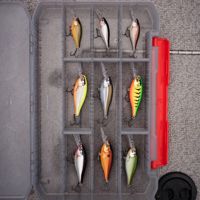 Rapala Shad Rap Lures 7cm/8g