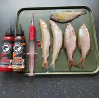 Holy Mackerel Predator Syringe Kit