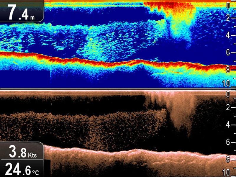 Raymarine Dragonfly 7 With Transducer & EU Silver Chart