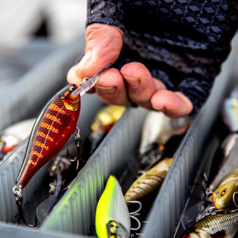 Rapala Shad Rap Lures 7cm/8g