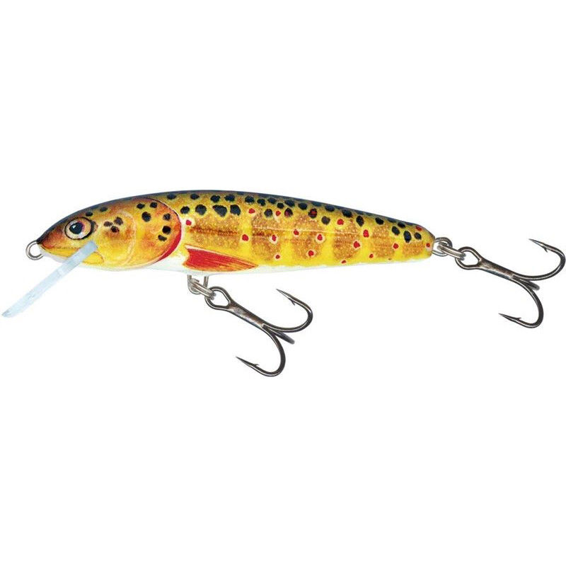 Salmo Minnow Crankbaits