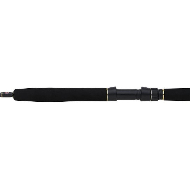 Penn Regiment III Solid Carbon Boat Rods 