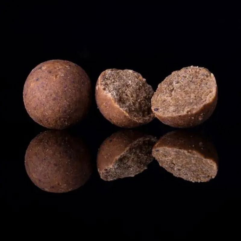 DNA Baits The Bug Shelf Life Boilies