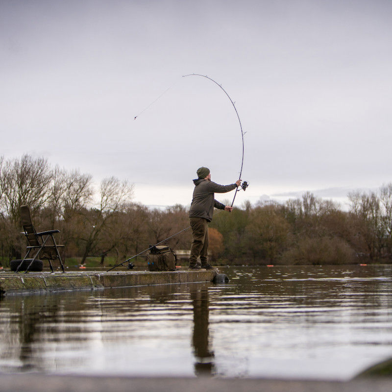 Avid Carp React Rods