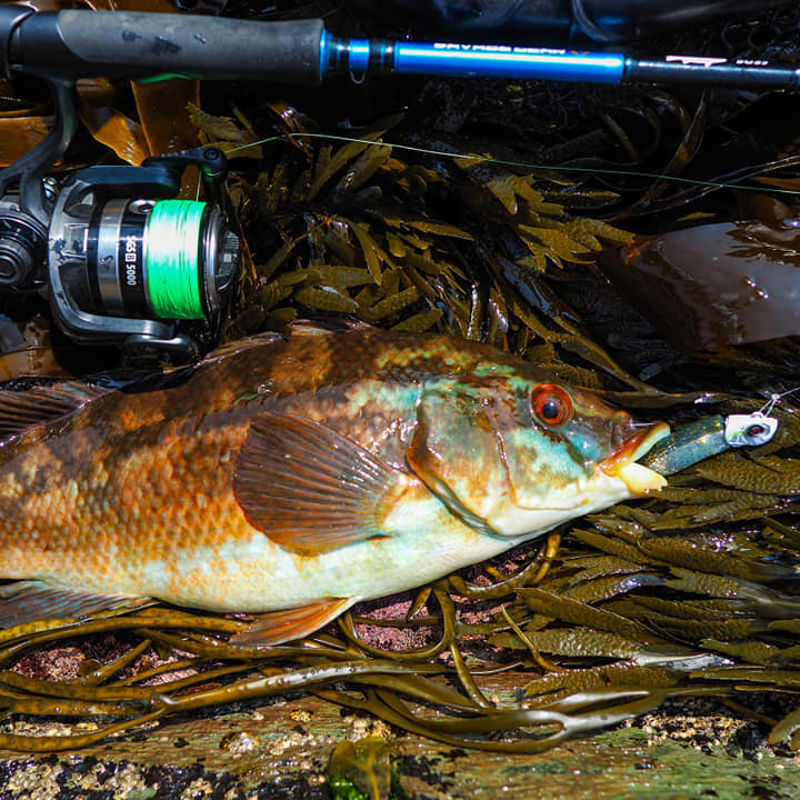 Savage Gear Minnow Weedless Singles