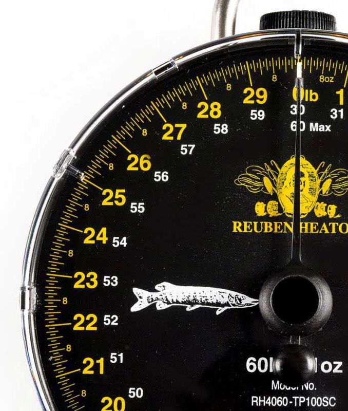 Reuben Heaton Specimen Hunter Classic Scale