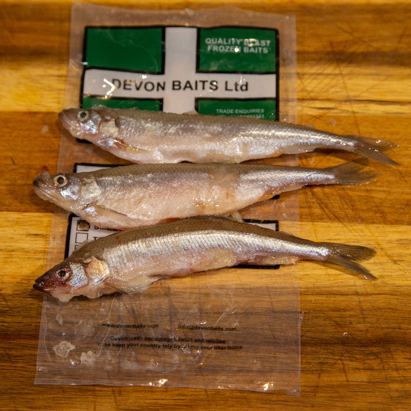 Devon Baits Frozen Smelt Standard