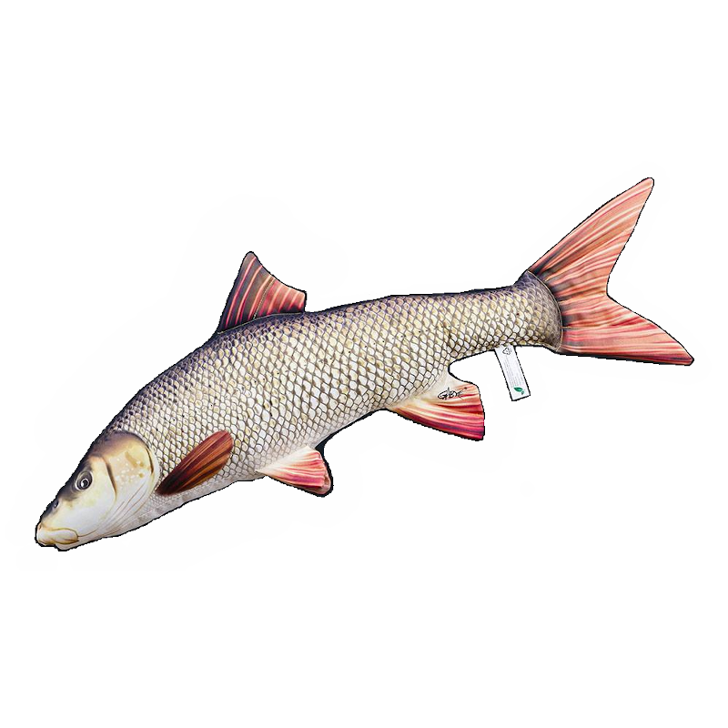 Gaby Barbel Pillow