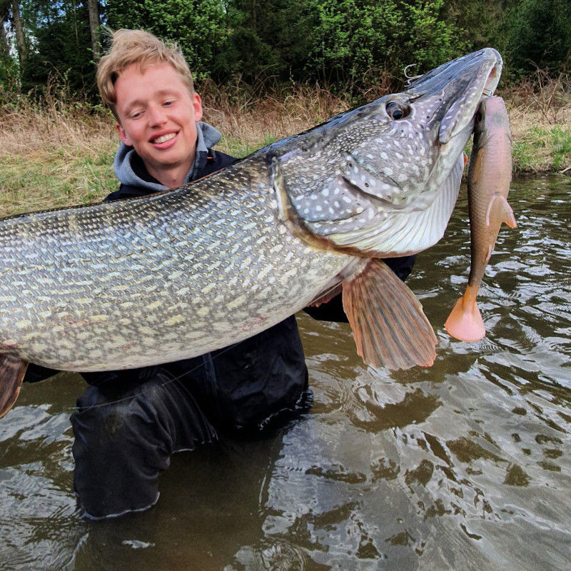 Savage Gear 3D River Roach