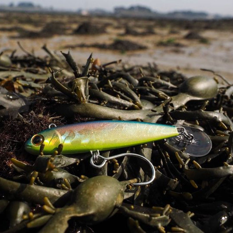 Fiiish Power Tail SW Lures