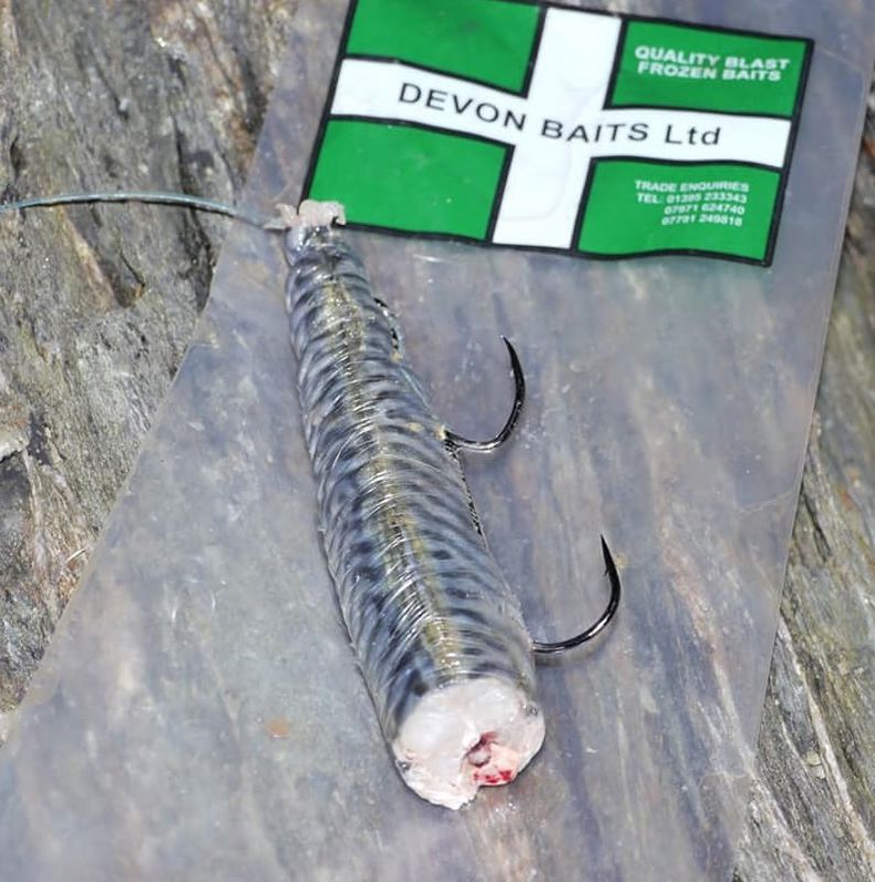 Devon Baits Frozen Whole Mackerel