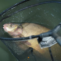 Guru Barb Safe Landing Net