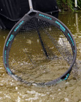 Drennan Speedex Carp Net 20inch