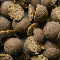 Mainline Iso Fish Frozen Boilies 15mm 1kg