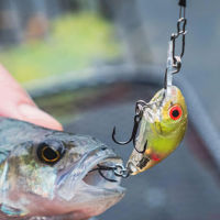 Salmo Rattlin Hornet Floating Lures