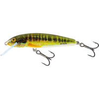 Salmo Minnow Crankbaits