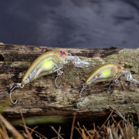 Salmo Rattlin Hornet Shallow Floating 4.5cm