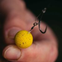 Mainline Essential Cell Shelf Life Boilies