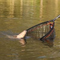 Guru Competition Landing Nets