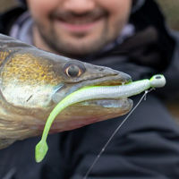 Rapala CrushCity The Stingman Lures