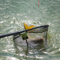 Matrix Carp Scoop Landing Nets